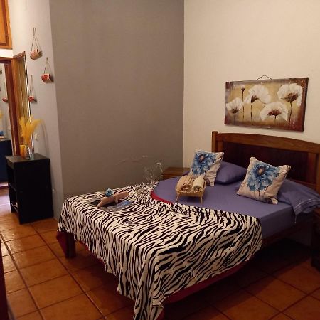 Bed and Breakfast Divin'Art Ribeira Grande Exteriér fotografie